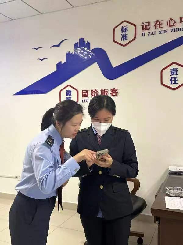 春风送税惠，服务有“新”意——自贡税务服务再升级